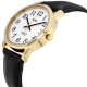 Мужские часы Timex EASY READER Traditional Tx20491