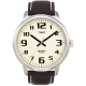 Мужские часы Timex EASY READER Tx28201