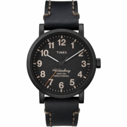 Мужские часы Timex WATERBURY Tx2p59000