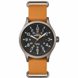 Мужские часы Timex EXPEDITION Scout Tx4b04600