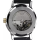 Мужские часы Timex MARLIN Automatic Tx2w33900