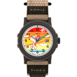 Мужские часы Timex PEANUTS Expedition Ski Camper Tx4b34900