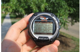 Timex® Ironman® Global Trainer™ Bodylink® c GPS