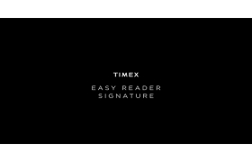 Мужские часы Timex (Таймекс) Easy Reader Signature