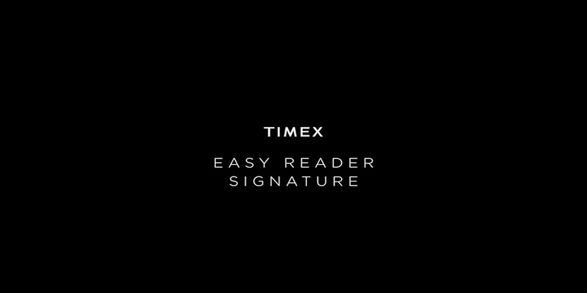 Мужские часы Timex (Таймекс) Easy Reader Signature